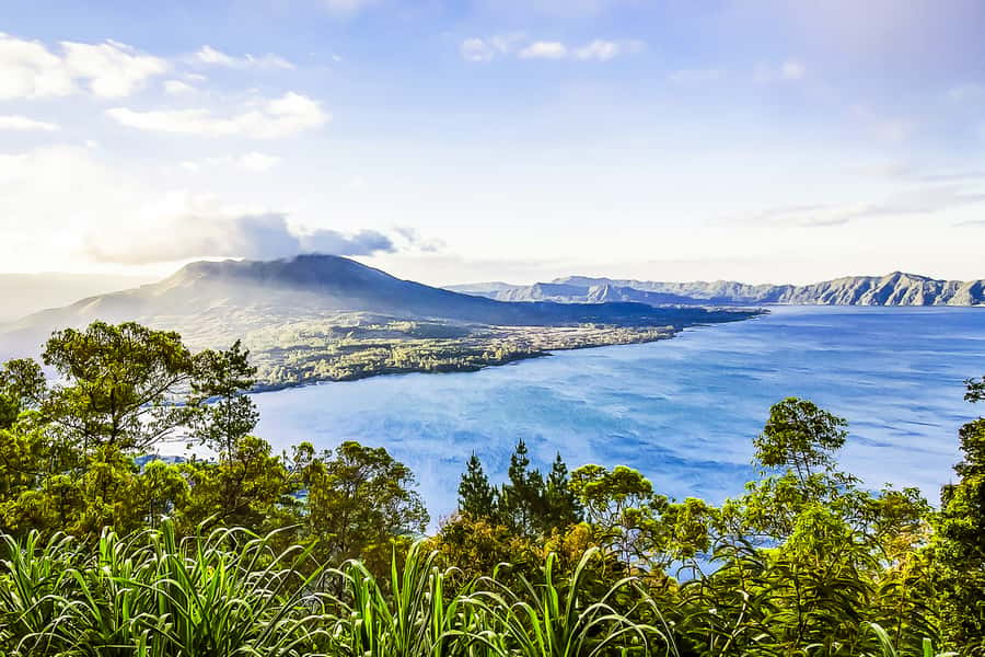 Bali: Sunrise Mount Batur Guided Hike with Breakfast - The descent is easier, but not effortless