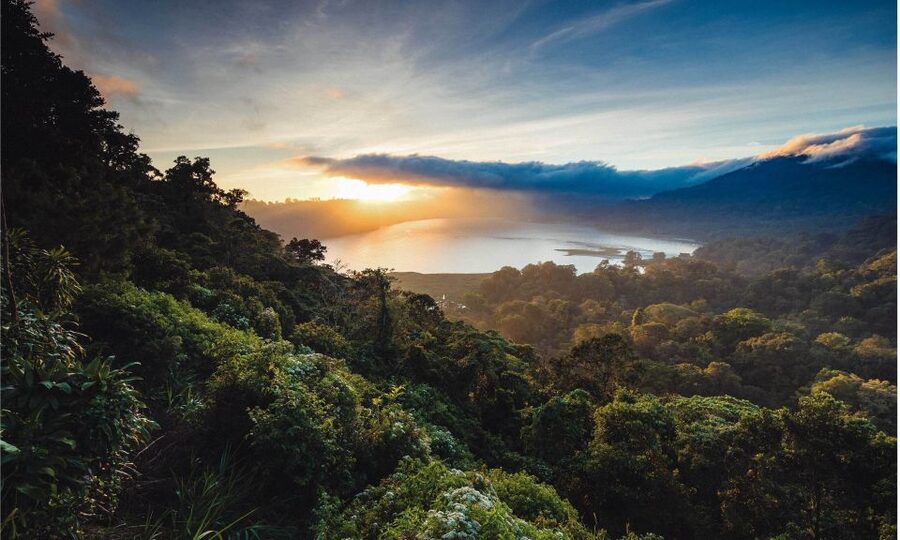 Bali: Twin Lakes, Handara Gates, and Forest Trekking Tour - Who should book this northern Bali day?