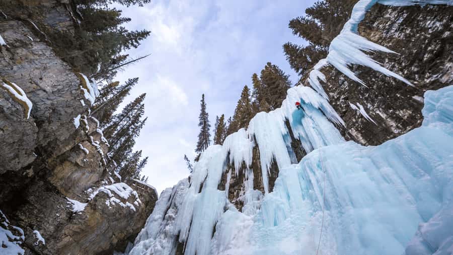 Banff: Gondola Ticket and Johnston Canyon Hiking Tour - Johnston Canyon and its waterfall walk