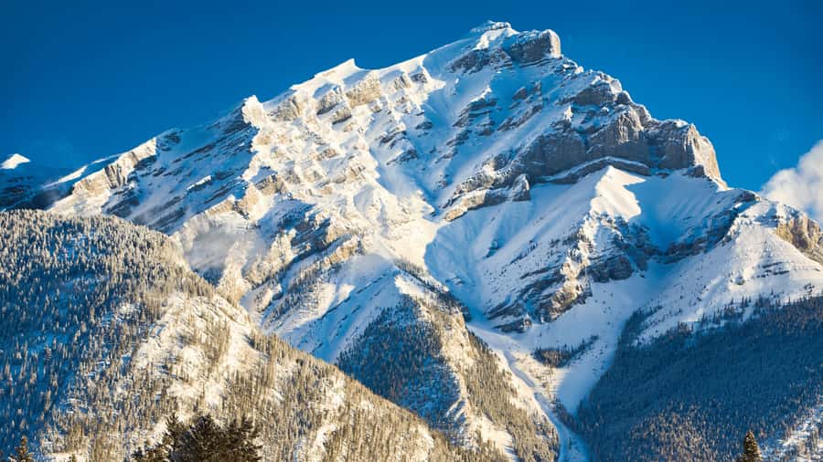 Banff: Gondola Ticket and Johnston Canyon Hiking Tour - Who will get the most value from $122