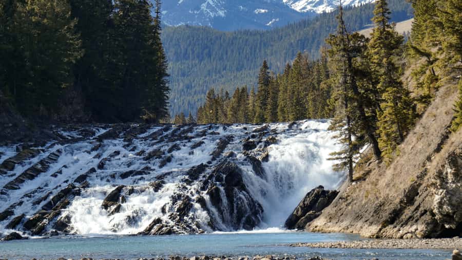 Banff: Gondola Ticket and Johnston Canyon Hiking Tour - Riding the Banff Gondola up Sulphur Mountain