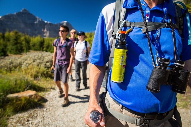 Banff National Park Guided Hike with Lunch - Consolation Lakes, the gentlest choice