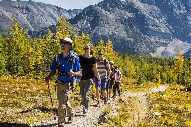 Banff National Park Guided Hike with Lunch - Choosing the right day and trail