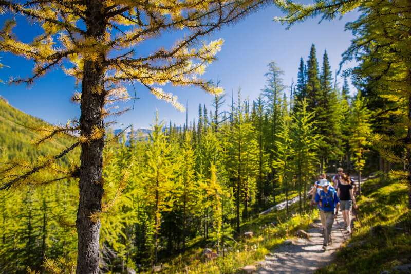 Banff National Park: Guided Signature Hikes with Lunch - Four Banff hikes, four very different days