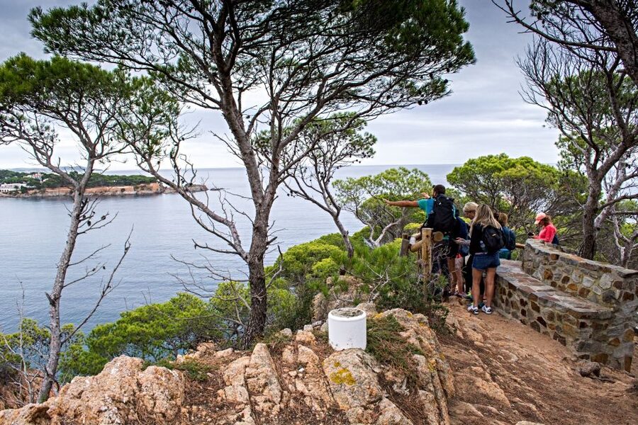 Barcelona: Costa Brava Hiking, Sea Kayaking & Lagoon Dipping - Walking the El Camino de Ronda for one hour
