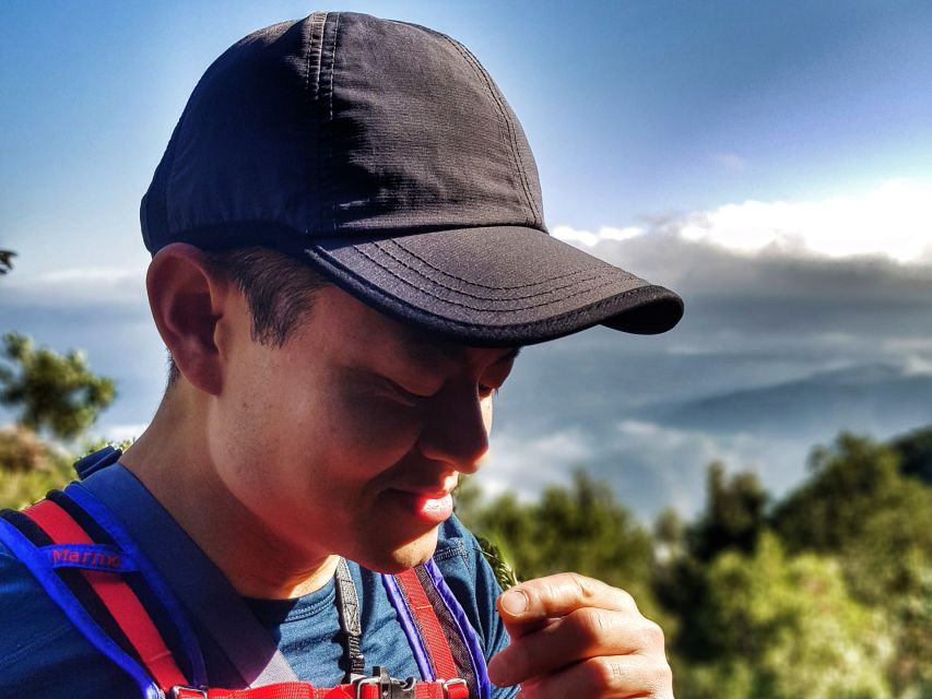 Barcelona: Montserrat Hiking Experience and Monastery Visit - Who should book this hike?