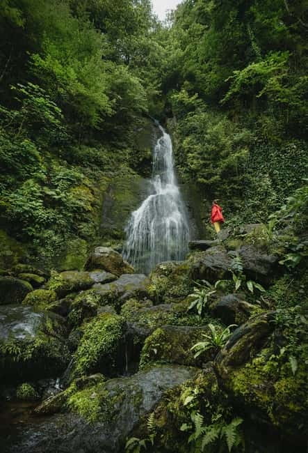 Batumi to Mtirala National park - Half day hiking group tour - Key points to know before booking