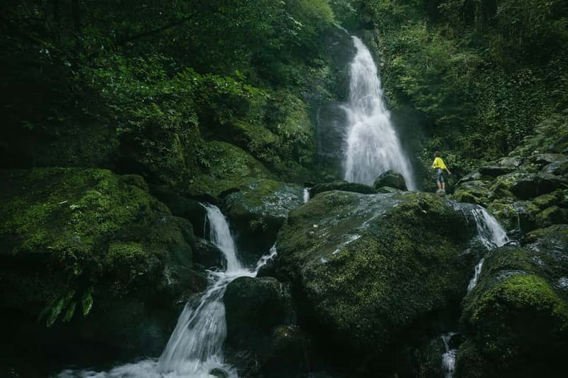 Batumi to Mtirala National park - Half day hiking group tour - The 3-kilometer walk to the waterfalls