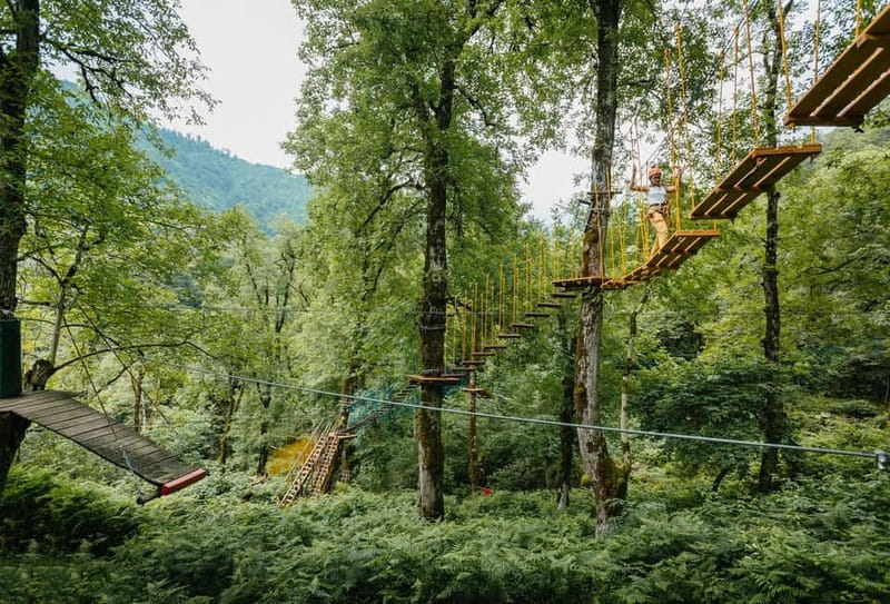 Batumi to Mtirala National park - Half day hiking group tour - Who will enjoy this half-day hike?