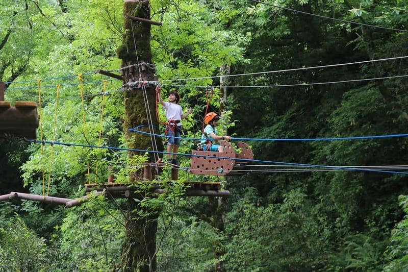 Batumi to Mtirala National park - Half day hiking group tour - Is $33 good value?