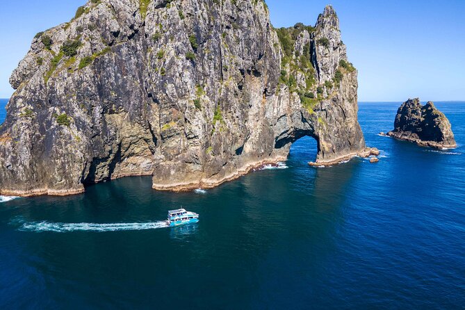 Bay of Islands Cruise & Island Tour - Snorkel, Hike,Swim,Wildlife - Key points to know before booking
