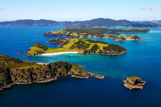 Bay of Islands Cruise & Island Tour - Snorkel, Hike,Swim,Wildlife - A half-day look at the Bay of Islands