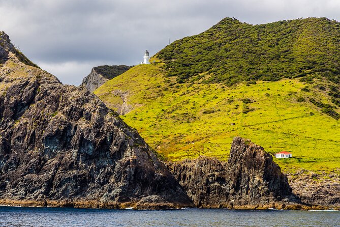 Bay of Islands Cruise & Island Tour - Snorkel, Hike,Swim,Wildlife - Wildlife watching across 144 islands