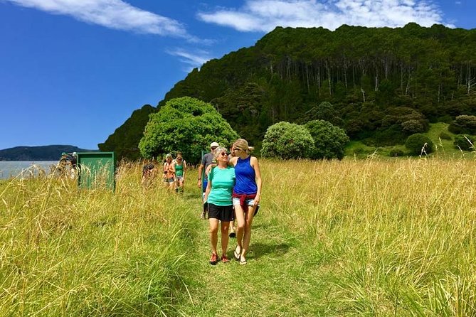 Bay of Islands Cruise & Island Tour - Snorkel, Hike,Swim,Wildlife - How the crew shapes the experience