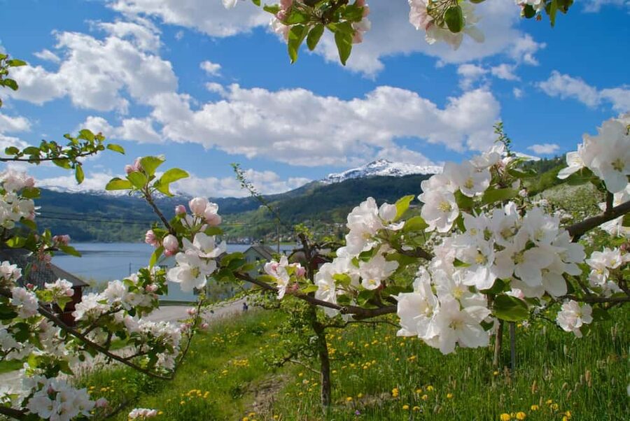 Bergen: Easy Hike to Bondhus Glacier Lake & Rosendal Visit - From Bergen Harbor to the Hardangerfjord