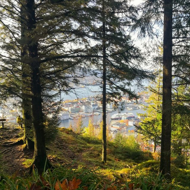 Bergen: Guided mountain hike on top of Bergen - Is $194 a Fair Price?