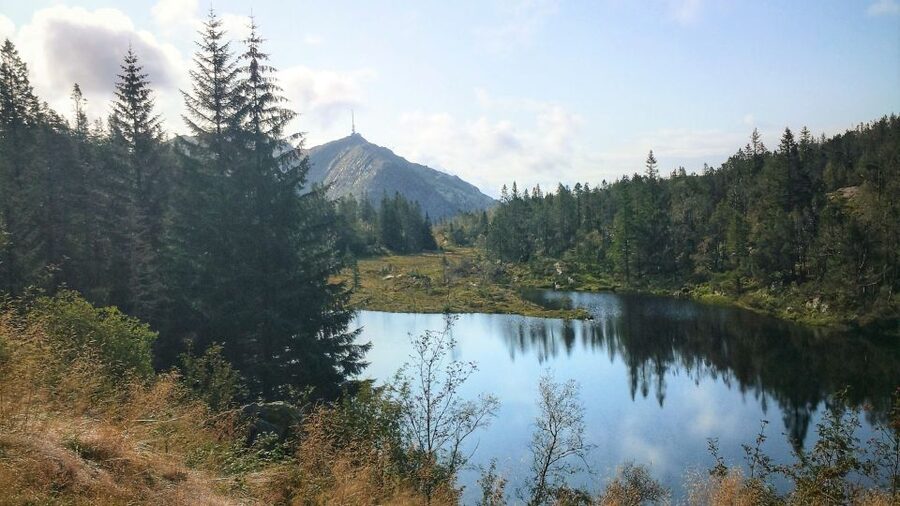 Bergen: Guided mountain hike on top of Bergen - Meeting at the Tourist Information Center