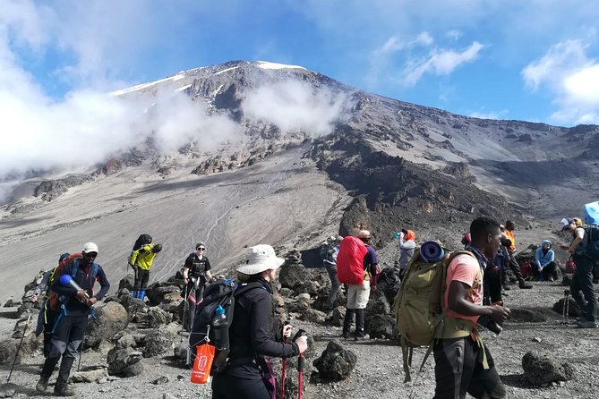 Best Kilimanjaro Adventure 7 days Machame route Trekking - Day 2: Machame Camp to Shira Camp