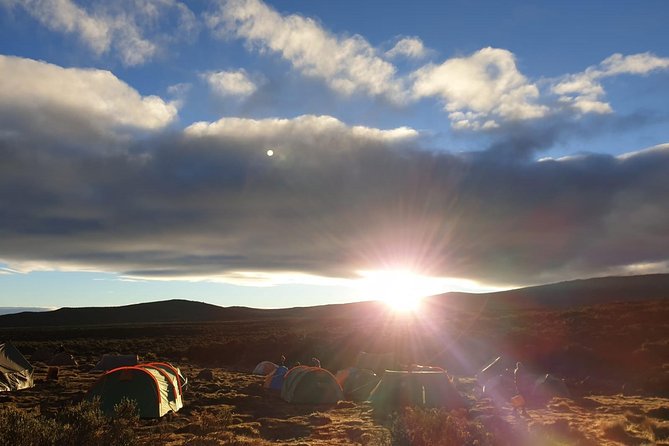 Best Kilimanjaro Adventure 7 days Machame route Trekking - Day 6: Barafu to the summit and Mweka Camp