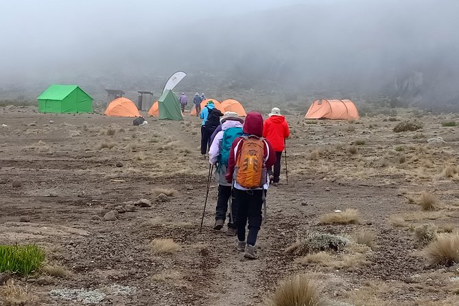 Best Kilimanjaro Adventure 7 days Machame route Trekking - Day 1: Machame Gate to Machame Camp