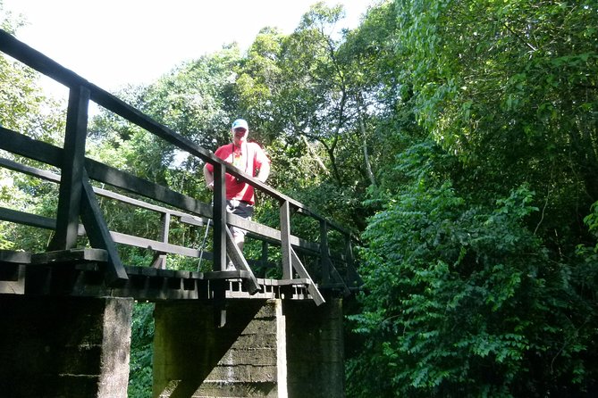 Best Kilimanjaro hiking day trip tour with Kilinge Adventures - Five useful facts before you book