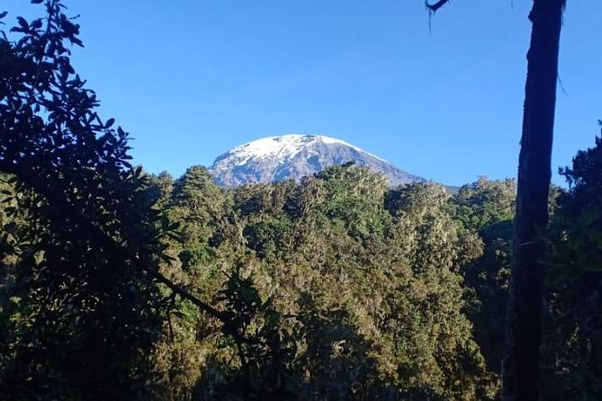Best Kilimanjaro hiking day trip tour with Kilinge Adventures - From Marangu Gate to Mandara Hut