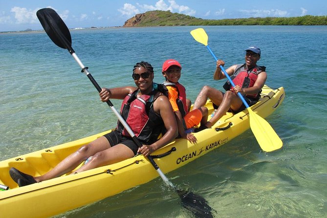Best of Mangrove Lagoon Kayak, Hike and Snorkel Adventure with Picnic Lunch - Key points to know before booking