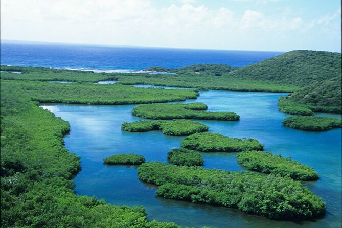 Best of Mangrove Lagoon Kayak, Hike and Snorkel Adventure with Picnic Lunch - Snorkeling in warm lagoon water