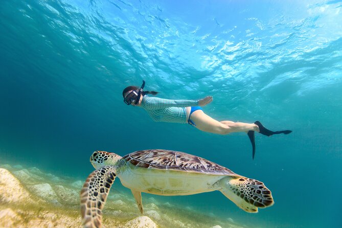 Best of Mangrove Lagoon Kayak, Hike and Snorkel Adventure with Picnic Lunch - Kayaking through the mangrove channels