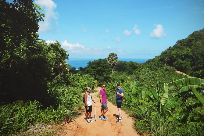 Big Buddha Jungle Trekking and Temple tour with Lunch - The jungle route: short on paper, serious in the heat