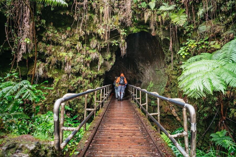 Big Island: Hawai'i Volcanoes National Park Guided Hike - Why this hike is different from a quick volcano stop