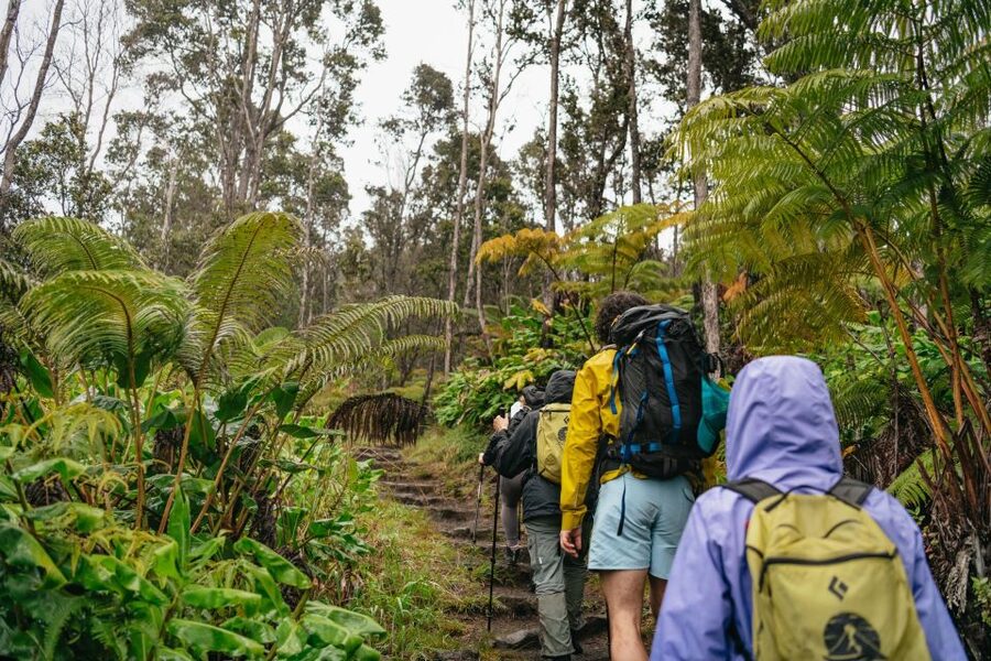 Big Island: Hawai'i Volcanoes National Park Guided Hike - Walking through native Hawaiian rainforest