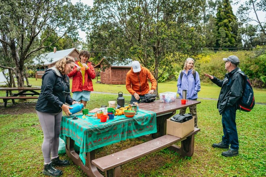 Big Island: Hawai'i Volcanoes National Park Guided Hike - Meals, timing, and the real value of $230