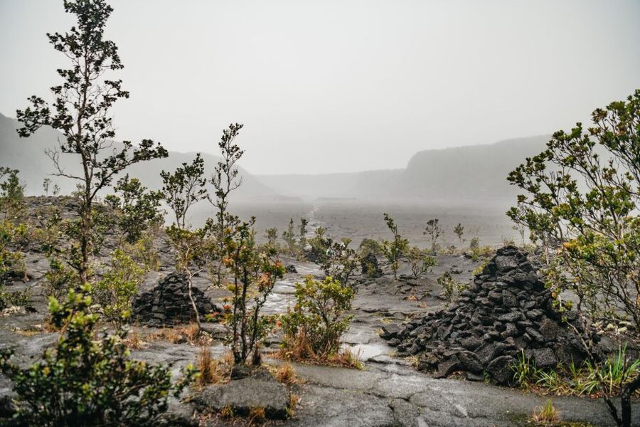 Big Island: Hawai'i Volcanoes National Park Guided Hike - Jennifer’s guiding style