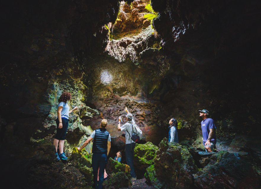 Big Island: Off the Beaten Path Volcano Crater Hike - A native cloud forest far from the crowds