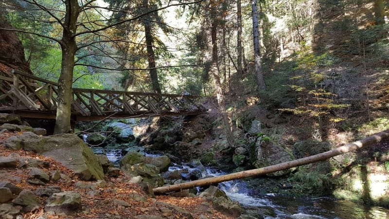 Black Forest: Ravenna Gorge Hike, Self-Guided - Why Ravenna Gorge makes a better Black Forest outing