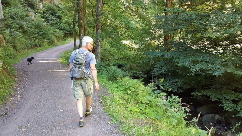 Black Forest: Ravenna Gorge Hike, Self-Guided - The 8-kilometer walk into Ravenna Gorge