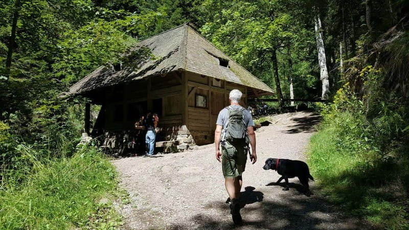 Black Forest: Ravenna Gorge Hike, Self-Guided - Mills, craft, and the valley’s working past