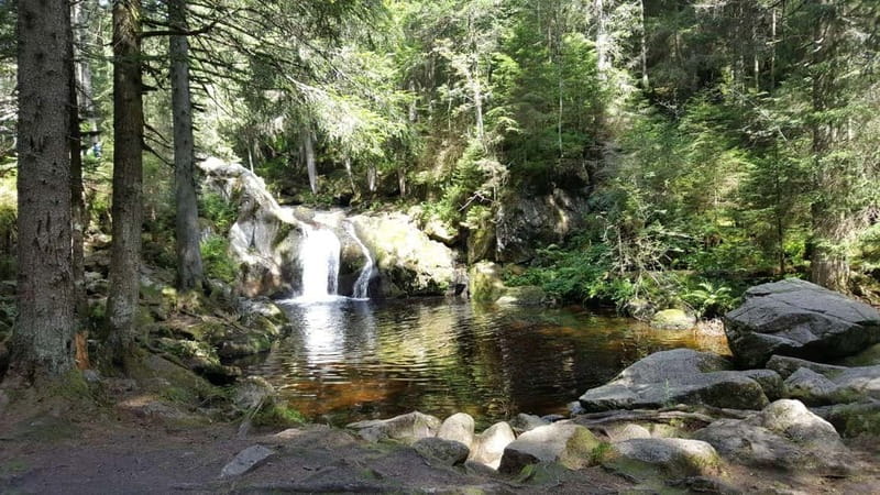 Black Forest: Ravenna Gorge Hike, Self-Guided - How well the self-guided app works