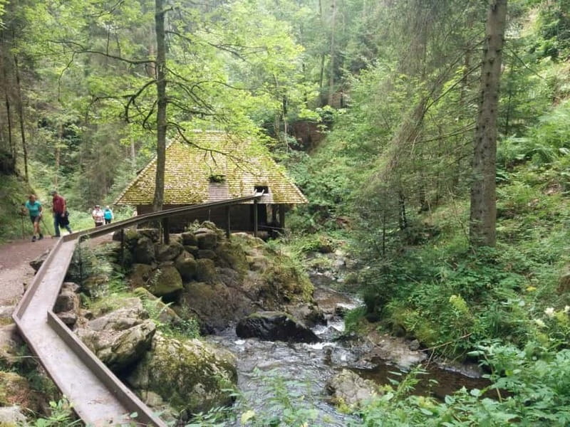Black Forest: Ravenna Gorge Hike, Self-Guided - Who should book this hike