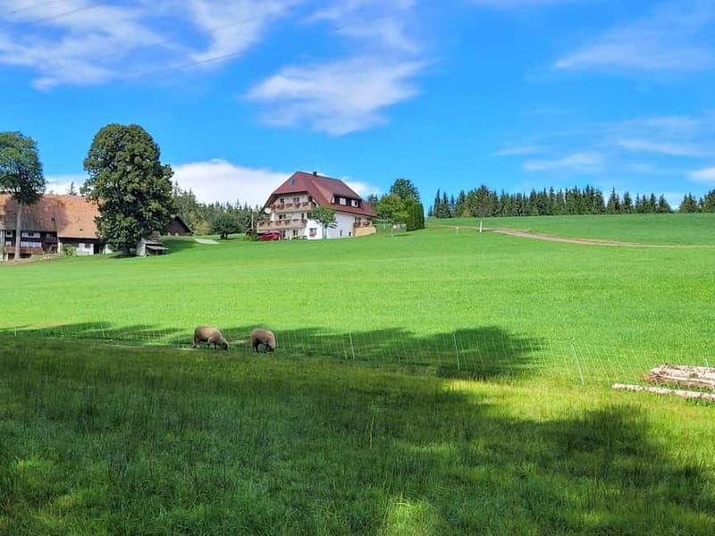 Black Forest: Ravenna Gorge Hike, Self-Guided - Starting at Hinterzarten railway station