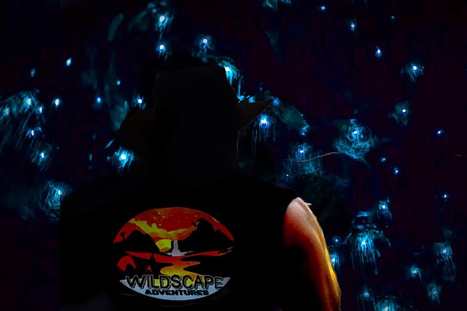 Blue Mountains Hiking Glow worms Cave Wildlife Spotlighting Night Adventure - Walking into the Blue Mountains after dark