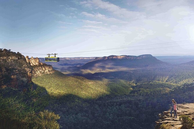 Blue Mountains Hiking Glow worms Cave Wildlife Spotlighting Night Adventure - Spotlighting for nocturnal wildlife
