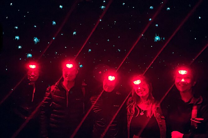 Blue Mountains Hiking Glow worms Cave Wildlife Spotlighting Night Adventure - The 8 p.m. pickup from Sydney