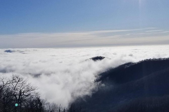 Blue Ridge Parkway Waterfalls Hiking Tour from Asheville - Seasonal views, fog, and winter closures