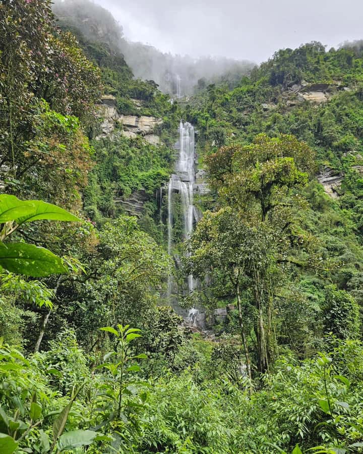 Bogota: Hike to La Chorrera Waterfall, El Chiflón and Guadalupe Hill - Is $115 per person fair value?