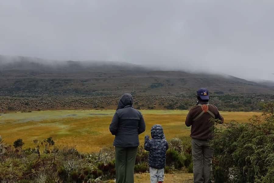 Bogotá: Sumapaz National Park Hike Tour - Leaving Bogotá for the High Páramo