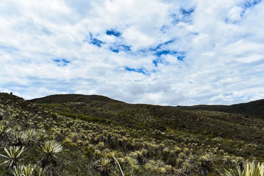 Bogotá: Sumapaz National Park Hike Tour - What the Weather Really Means