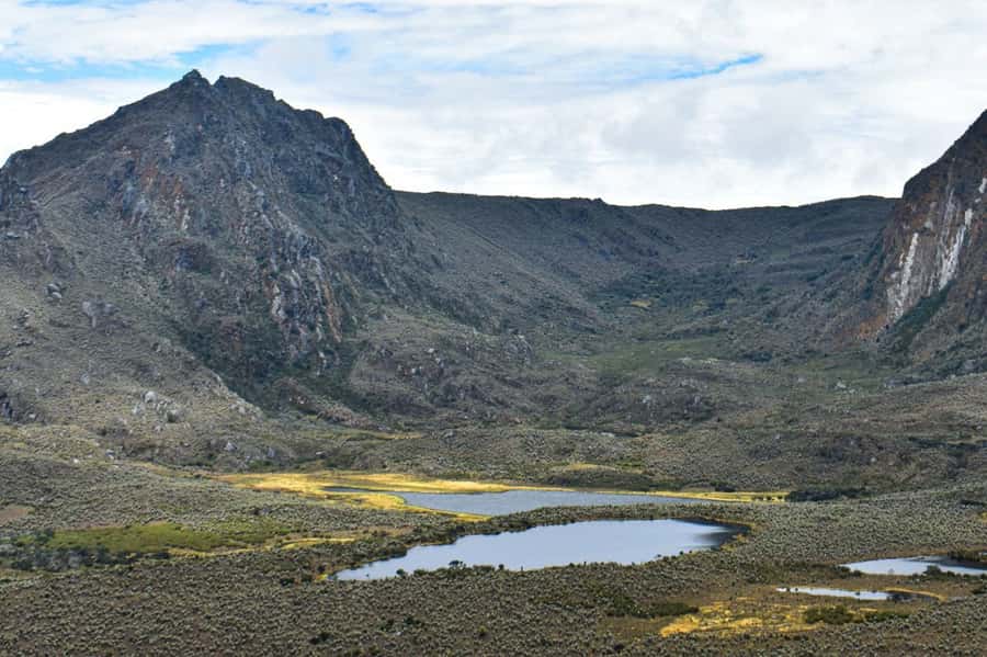 Bogotá: Sumapaz National Park Hike Tour - Should You Book the Sumapaz Tour?