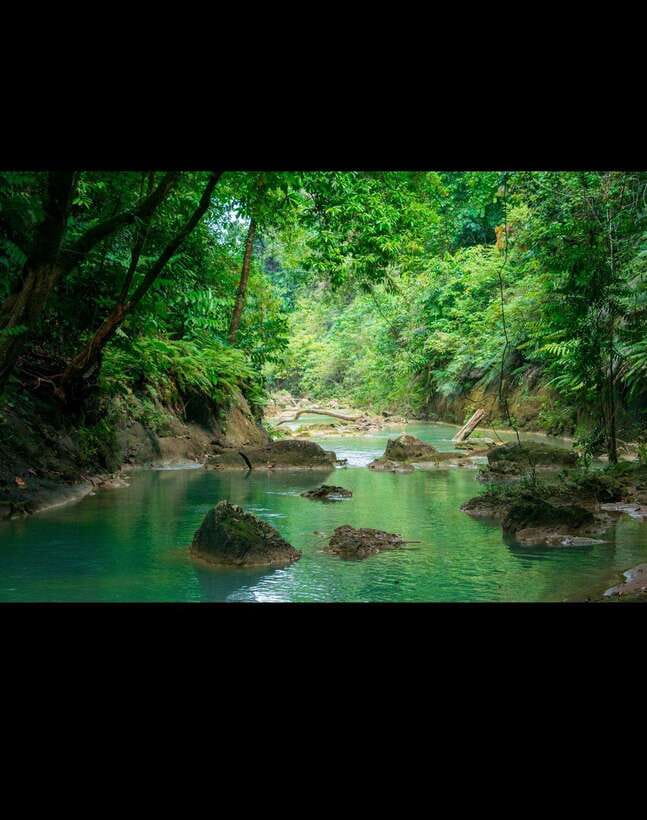 Bohol: Hidden Waterfall Hopping and Jungle Trek Adventure - What the guide adds to the experience